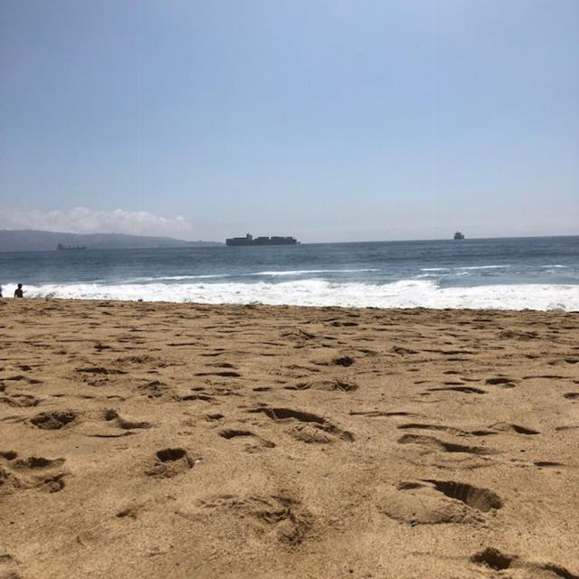 Apartamento A Pasos De La Playa, Lugar Confortable, Moderno Y Acogedor Vina del Mar